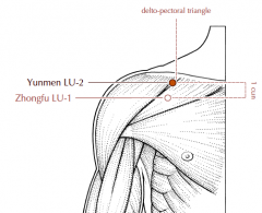 On the antero-lateral aspect of the chest, below the lateral extremity of the clavicle, 6 cun lateral to the midline, in the center of the hollow of the delto-pectoral triangle.