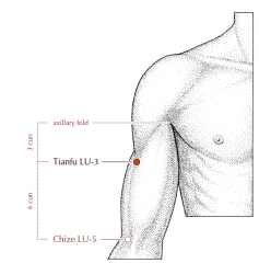 On the antero-lateral aspect of the upper arm, 3 cun inferior to the axillary fold and 6 cun superior to Lu-5, in the depression between the lateral border of the biceps brachii muscle and the shaft of the humerus.