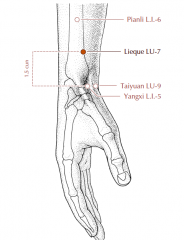 On the radial aspect of the forearm, approximately 1.5 cun proximal to LI-5, in the cleft between the tendons of brachioradialis and abductor pollicis longus.
