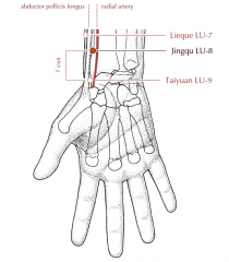 Above the wrist, 1 cun proximal to Lu-9, on the line connecting Lu-9 and Lu-6, in the depression at the base of the styloid process of the radius and on the radial side of the radial artery.
