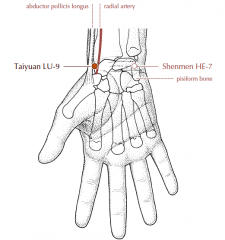 At the wrist joint, in the depression between the radial artery and the tendon of abductor pollicis longus, level with Ht-7 (the proximal border of the pisiform bone).