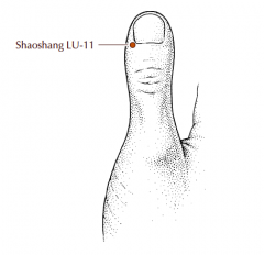 On the extensor aspect of the thumb, at the junction of lines drawn along the radial border of the nail and the base of the nail, approximately 0.1 cun from the corner of the nail.