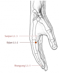 On the radial border of the index finger, in a depression just distal to the metacarpo-phalangeal joint.