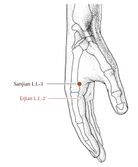 On the radial side the the index finger, in the substantial depression proximal to the head of the second metacarpal bone.