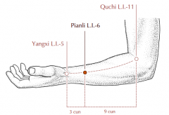 3 cun proximal to LI-5 on the line connecting LI-5 and LI-11.