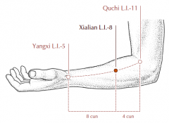 On the radial side of the forearm, 4 cun distal to LI-11, on the line connecting LI-11 and LI-5.
