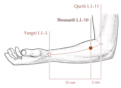 On the radial side of the forearm, 2 cun distal to LI-11, on the line connecting LI-11 and LI-5.