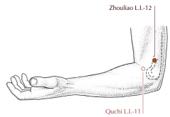 When the elbow is flexed, this point is located in the depression 1 cun proximal to and 1 cun lateral to LI-11.
