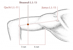 On the lateral side of the upper arm, 3 cun proximal to LI-11, on the line connecting LI-11 and LI-15.