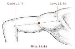 On the lateral side of the upper arm, in the visible and tender depression formed between the distal insertion of the deltoid muscle and the brachialis muscle, approximately three fifths of the distance along the line drawn between LI-11 and LI-15.