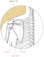 On the upper aspect of the shoulder, in the depression medial to the acromion process and between the lateral extremity of the clavicle and the scapular spine.