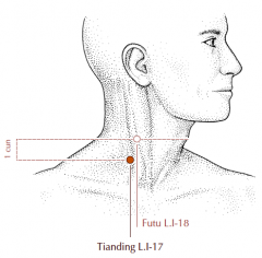 On the lateral side of the neck, 1 cun inferior to LI-18, on the posterior border of the sternocleidomastoid muscle.