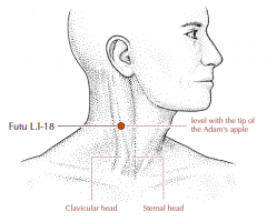 On the lateral side of the neck, level with the tip of the laryngeal prominence, between the sternal and clavicular heads of the sternocleidomastoid muscle.