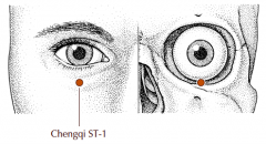 With the eyes looking directly forward, this point is located directly below the pupil between the eyeball and the infraorbital ridge.