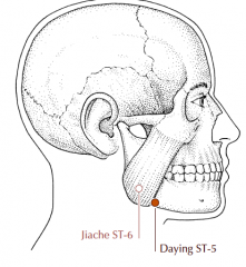 Directly anterior to the angle of the jaw, in a depression at the anterior border of the masseter muscle.
