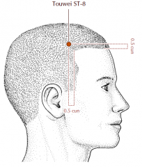 At the corner of the forehead, 4.5 cun lateral to Du-24 and 0.5 cun within the hairline.
