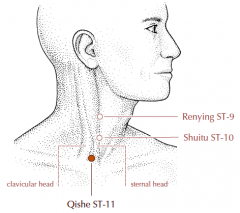 At the root of the neck, superior to the medial end of the clavicle, directly below St-9 in the depression between the sternal and clavicular heads of the sternocleidomastoid muscle.