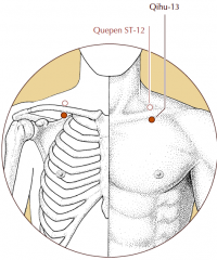 At the top of the chest, directly below St-12, on the inferior border of the clavicle, 4 cun lateral to the midline, on the mamillary line.
