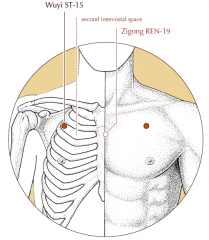 On the chest, in the second intercostal space, 4 cun lateral to the midline, on the mamillary line.