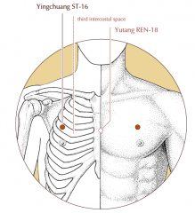 On the chest, in the third intercostal space, 4 cun lateral to the midline, on the mamillary line.