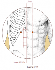 On the abdomen, 2 cun lateral to the midline and 6 cun superior to the umbilicus, level with Ren-14.