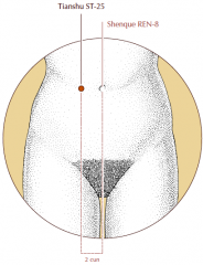 On the abdomen, 2 cun lateral to the umbilicus.