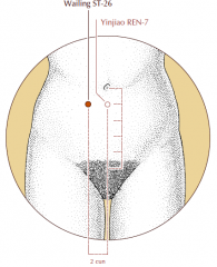 On the lower abdomen, 2 cun lateral to the midline and 1 cun inferior to the umbilicus, level with Ren-7.
