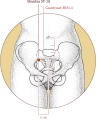 On the lower abdomen, 2 cun lateral to the midline and 3 cun inferior to the umbilicus, level with Ren-4.