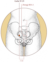 On the lower abdomen, 2 cun lateral to the midline and 4 cun inferior to the umbilicus, level with Ren-3.