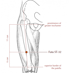 On the thigh, on a line drawn between the lateral border of the patella and the anterior superior iliac spine, in a depression 6 cun proximal to the superior border of the patella.