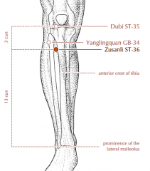 Below the knee, 3 cun inferior to St-35, one fingerbreadth lateral to the anterior crest of the tibia.