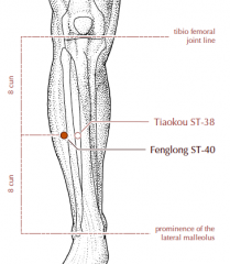 On the lower leg, midway between the tibiofemoral joint line (level with the popliteal crease) and the lateral malleolus, two fingerbreadths lateral to the anterior crest of the tibia.