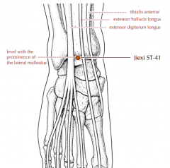 On the ankle, level with the prominence of the lateral malleolus, in a depression between the tendons of extensor hallucis longus and extensor digitorum longus.