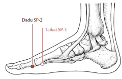 On the medial side of the big toe, in the depression distal and inferior to the first metatarso-phalangeal joint.