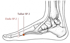 On the medial side of the foot in the depression proximal and inferior to the head of the first metatarsal bone.