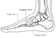 On the medial side of the foot, in the depression distal and inferior to the base of the first metatarsal bone.