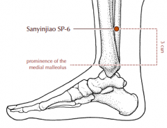 On the medial side of the lower leg, 3 cun superior to the prominence of the medial malleolus, in a depression close to the medial crest of the tibia.