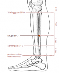 On the medial side of the lower leg, 3 cun superior to Sp-6, in a depression just posterior to the medial crest of the tibia.