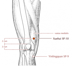 2 cun proximal to the superior border of the patella, in the tender depression on the bulge of the vastus medialis muscle, directly above Sp-9.