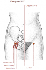 3.5 cun lateral to Ren-2, on the lateral side of the femoral artery.