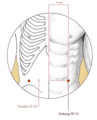 On the abdomen, in the depression at the lateral border of the rectus abdominus muscle level with the umbilicus.