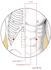 On the abdomen, in the depression at the lateral border of the rectus abdominus muscle, 3 cun superior to Sp-15.