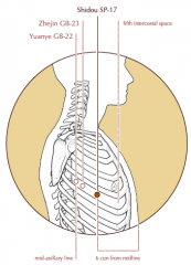 On the lateral side of the chest, in the fifth intercostal space, 6 cun lateral to the midline.