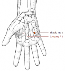 On the palm, in the depression between the 4th and 5th metacarpal bones, where the tip of the little finger rests when a fist is made.