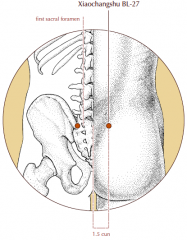 1.5 cun lateral to the midline, at the level of the first posterior sacral foramen.