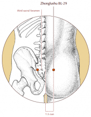 1.5 cun lateral to the midline, at the level of the third posterior sacral foramen.