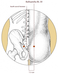 1.5 cun lateral to the midline, at the level of the fourth posterior sacral foramen.