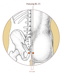 0.5 cun lateral to the Governing vessel, level with the tip of the coccyx.