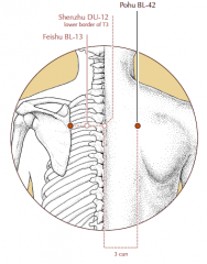 3 cun lateral to the midline, level with the lower border of the spinous process of T3 and level with BL-13.