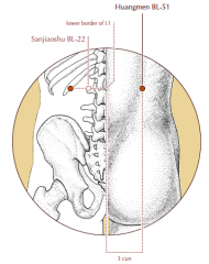 3 cun lateral to the midline, level with the lower border of the spinous process of L1 and level with BL-22.